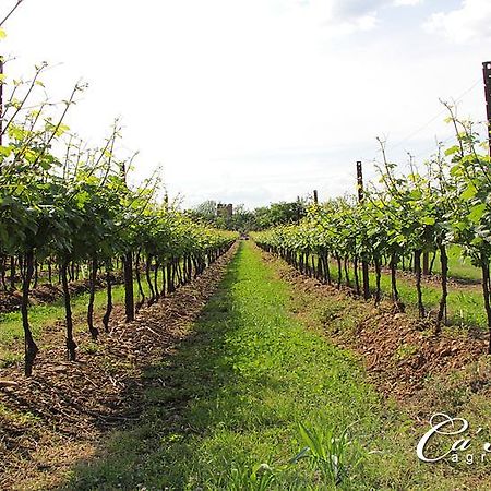 Agriturismo Ca'Mattei Βίλα Pescantina Εξωτερικό φωτογραφία