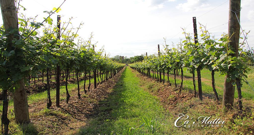 Agriturismo Ca'Mattei Βίλα Pescantina Εξωτερικό φωτογραφία