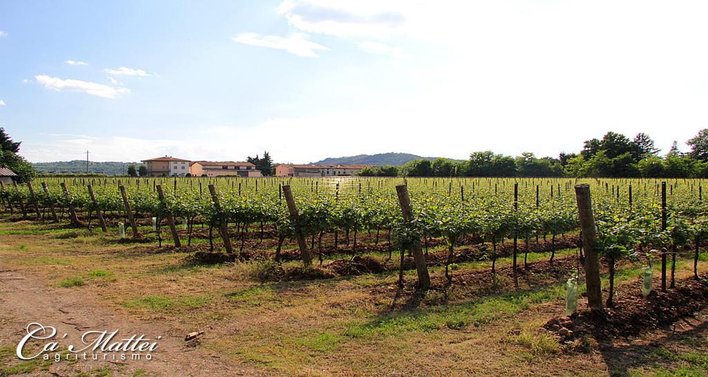 Agriturismo Ca'Mattei Βίλα Pescantina Εξωτερικό φωτογραφία