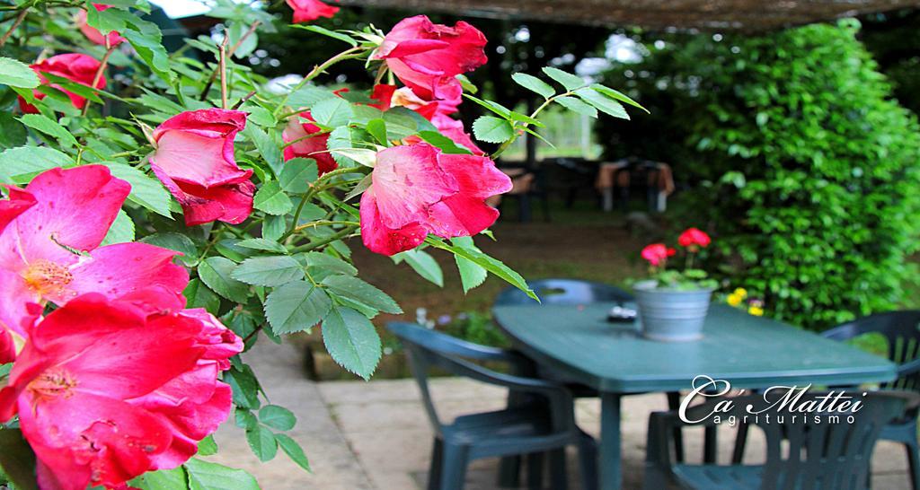 Agriturismo Ca'Mattei Βίλα Pescantina Εξωτερικό φωτογραφία